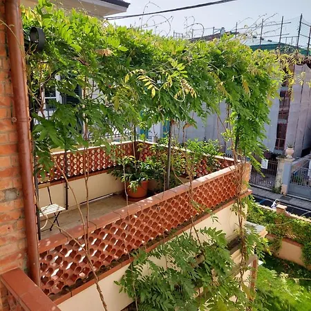 Nocleg ze śniadaniem Pura Vida Viareggio